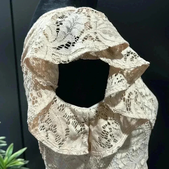 Just Taylor V-neck flutter sleeve lace,Hi/low ruffle,zip back, lined,zipper back - Picture 8 of 16